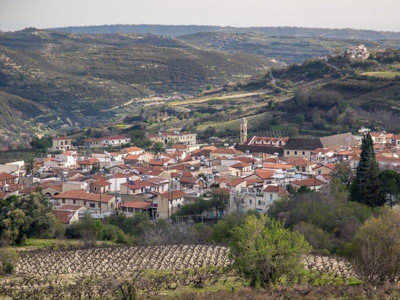 Wine harvest season in the mountains