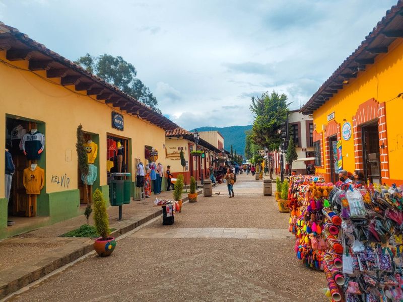Soak Up the International Bohemian Atmosphere