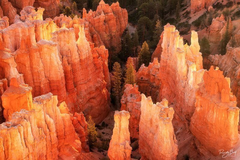 Nature's Sandstone Masterpieces