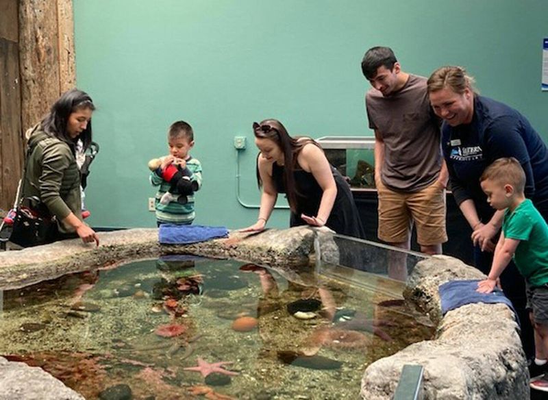 Marine Science Center Reveals Puget Sound Secrets