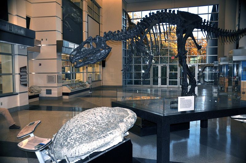 Virginia Museum of Natural History (Martinsville)