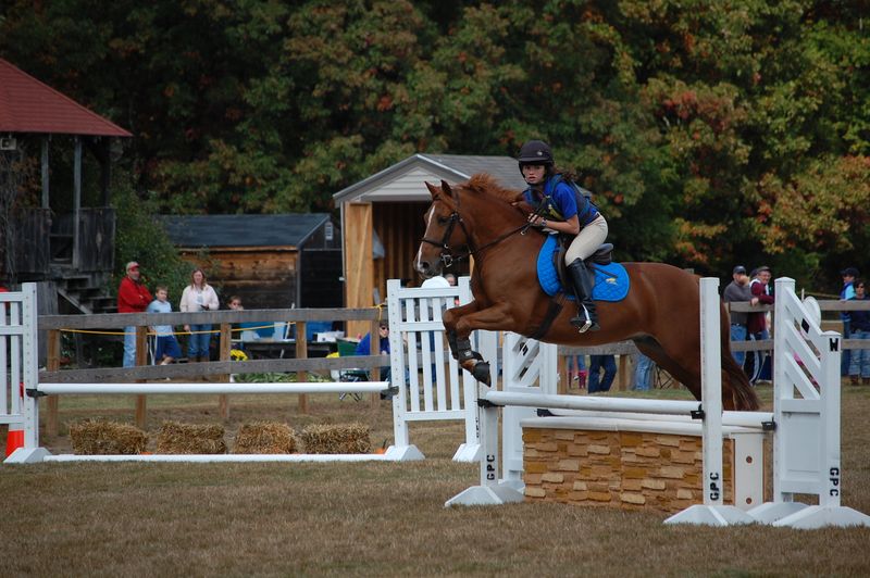 Visit an active equestrian park with deep roots