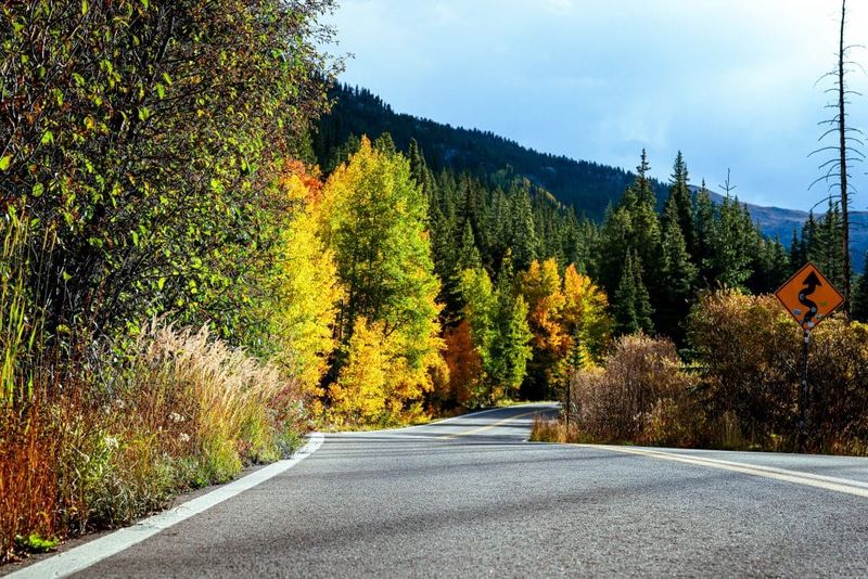 Perfect Timing for Peak Fall Splendor