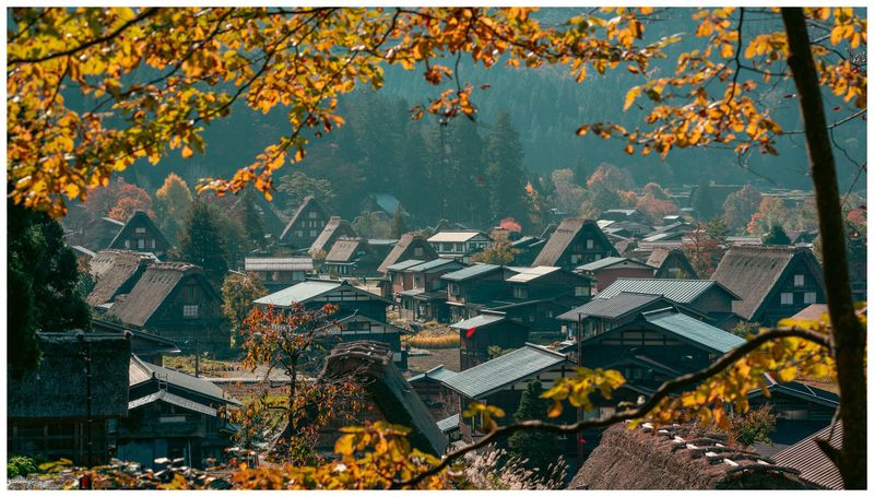 Stunning Autumn Foliage