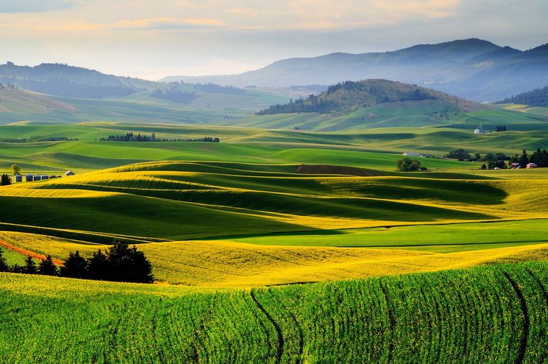 Follow the Palouse Scenic Byway Through Picture-Perfect Farmland