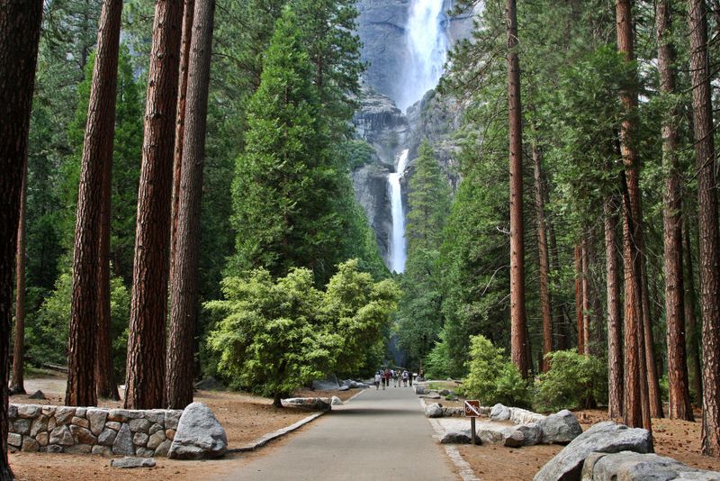 Lower Yosemite Fall Trail — Yosemite National Park, CA