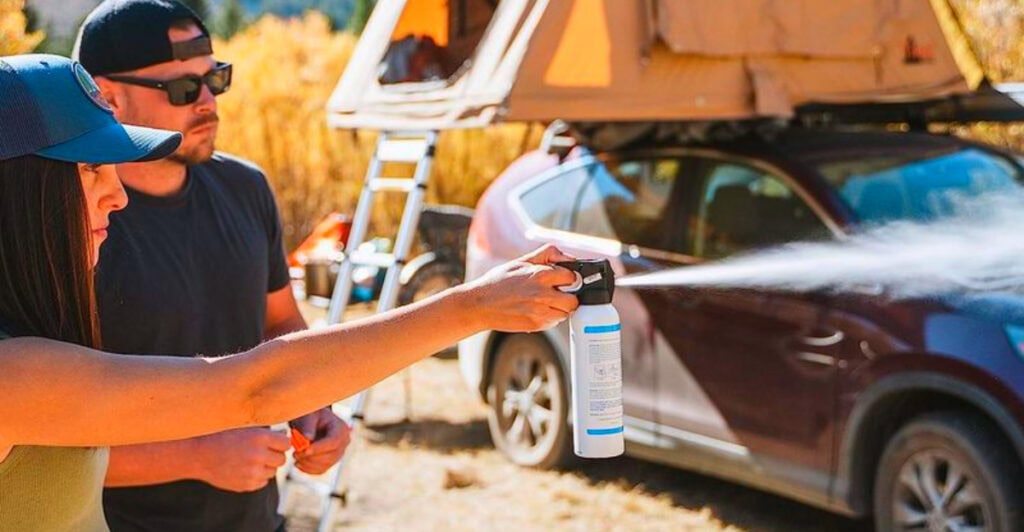 10 Best Bear Sprays for Hiking in Grizzly Country
