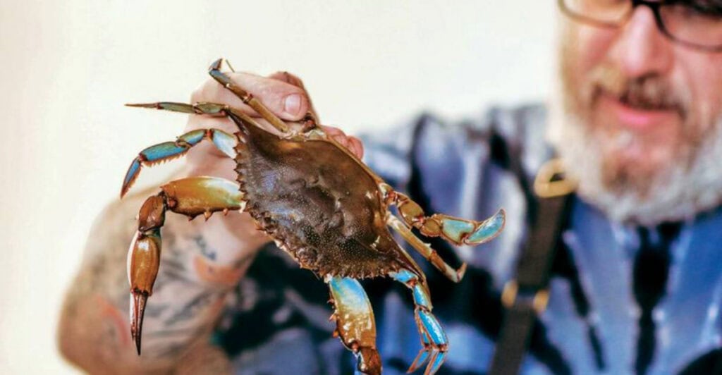 10 Hidden Delaware Seafood Shacks Locals Love for Big Flavor
