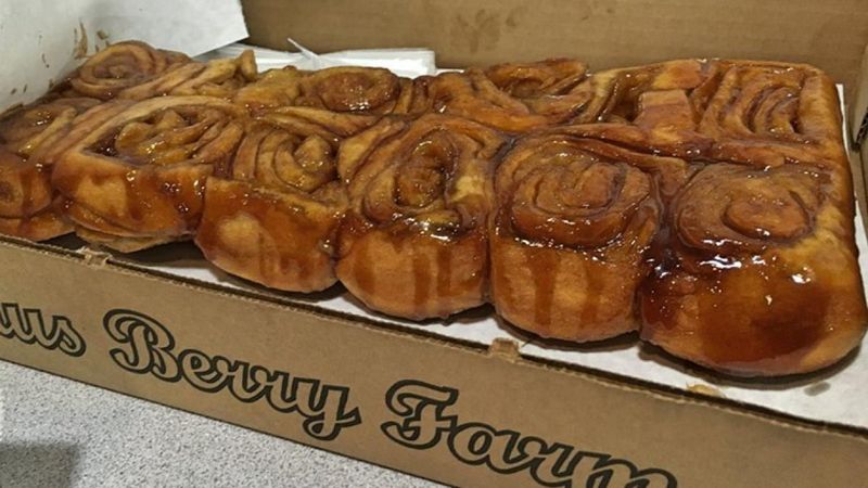 Knaus Berry Farm (Homestead)