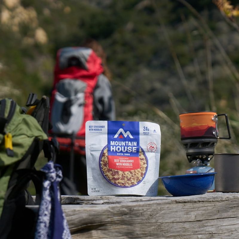 Mountain House Beef Stroganoff