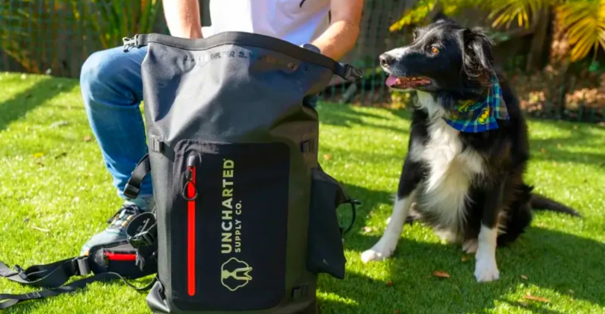 2025’s Best Survival Kits That Actually Have What You Need