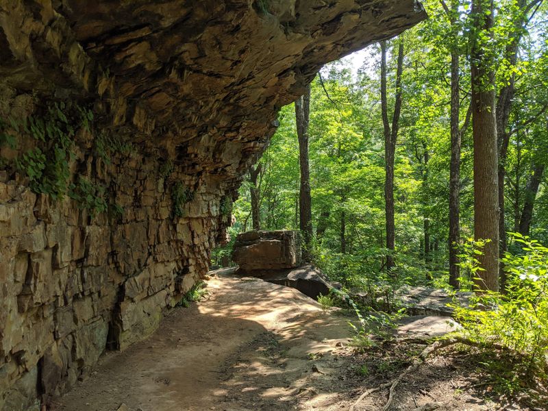 3. The Sewanee Perimeter Trail