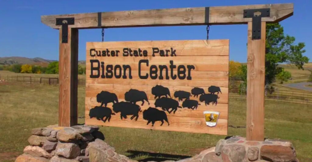 5 Amazing Parks Where Bison Still Roam Free (Beyond Yellowstone)