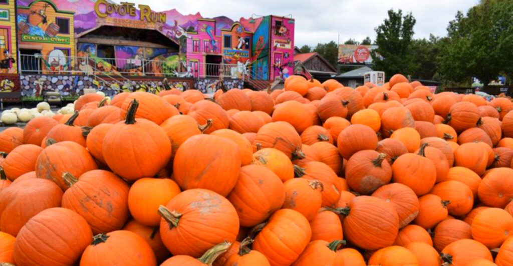 8 Pennsylvania Fall Festivals You’ll Visit Just For The Food