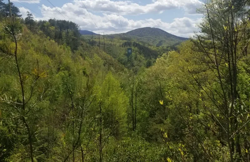 Little Frog Mountain Wilderness