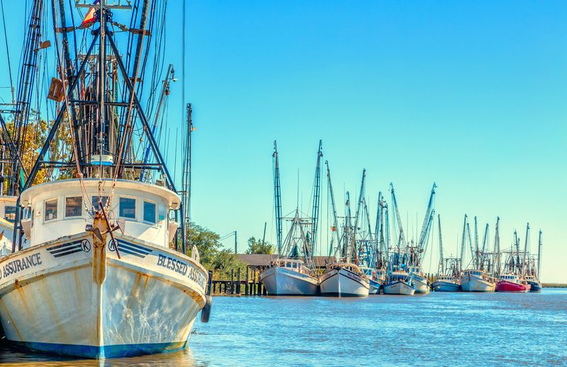 A Resilient Shrimping Community