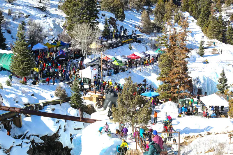 Festivals That Bring the Town to Life