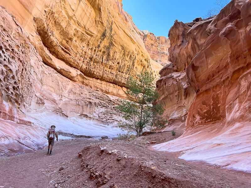 The San Rafael Swell’s Wild Backcountry