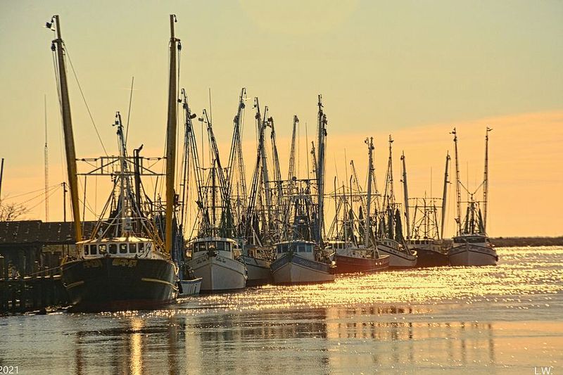 Shrimp Boats: Not for Show, But for Living