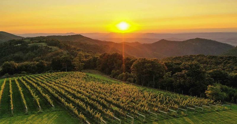 Terroir That Marries Old World and New