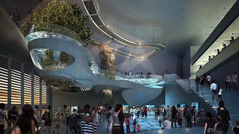 Brand-new aquarium showpiece