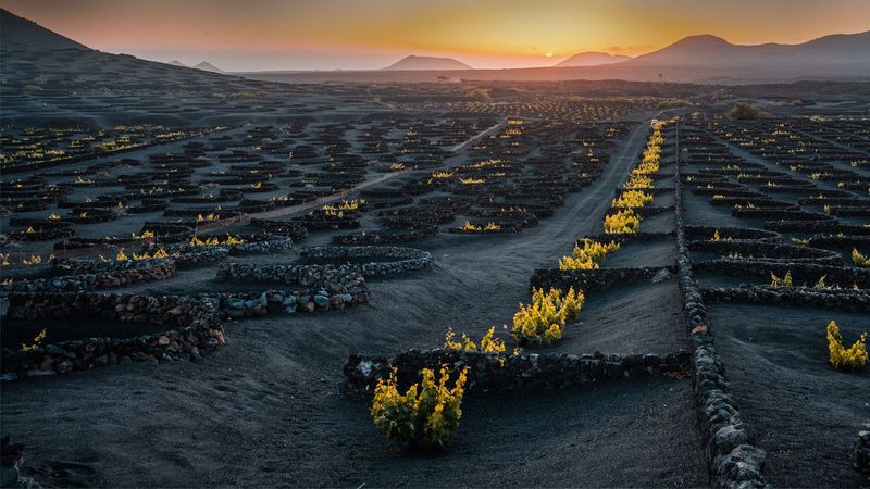 Amazing Experiences Without Breaking the Bank