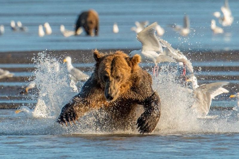 Lake Clark National Park