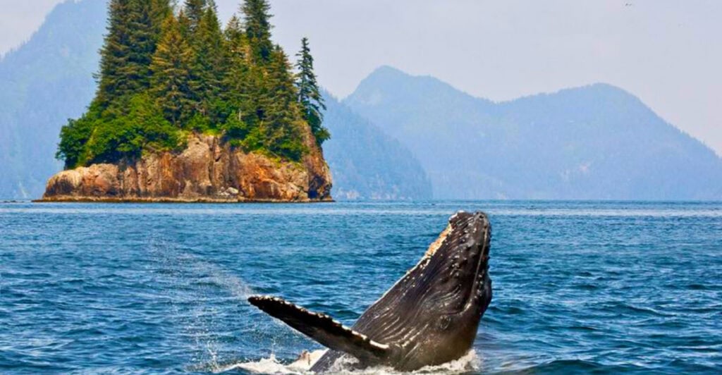 Alaska, Sitka is between Ketchikan and Juneau: The town only accessible by boat or plane
