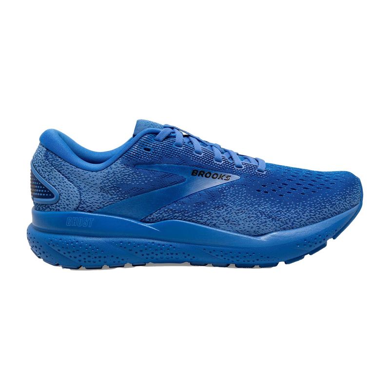 Brooks Ghost 16: The Versatile Veteran