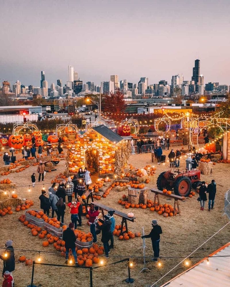 Festival of Flavors and Frights
