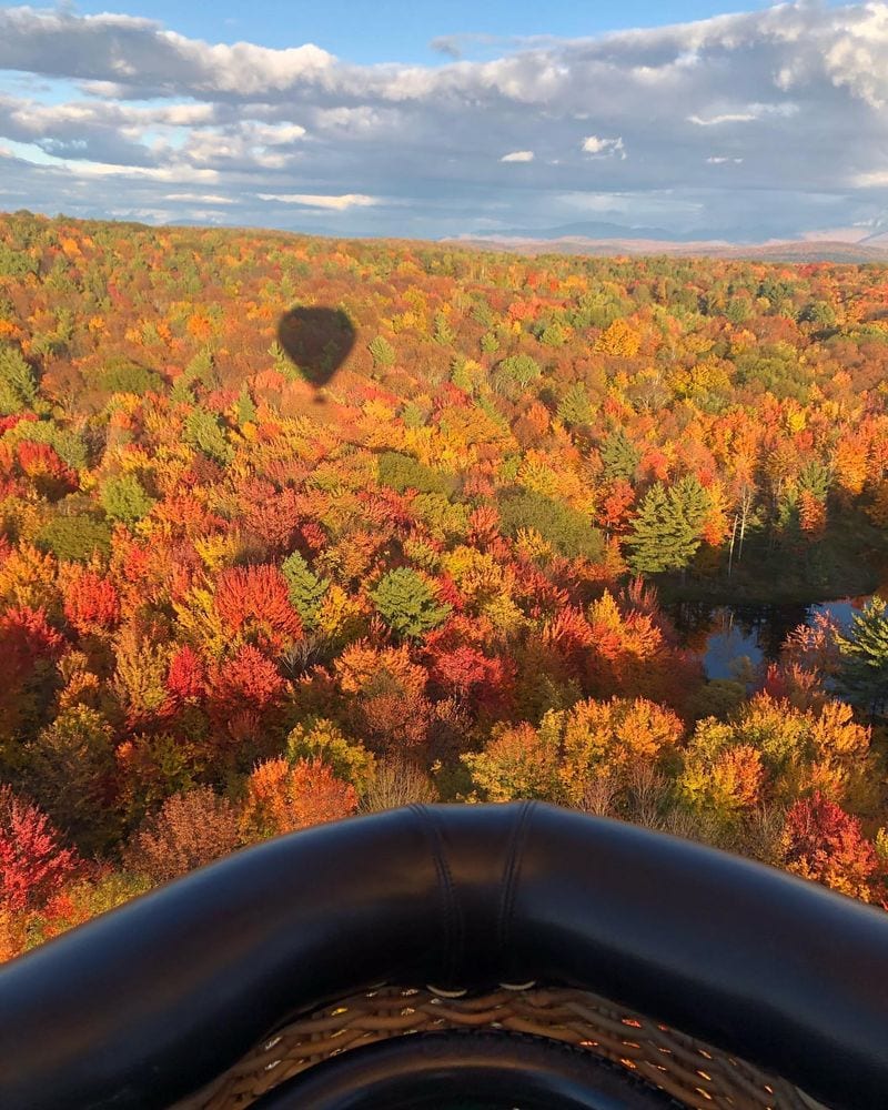 Pilot the Skies with Local Experts