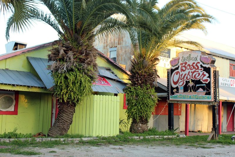 Boss Oyster – Apalachicola