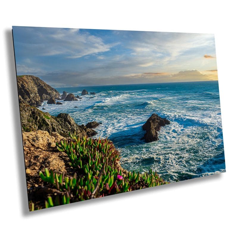 Marine Themes Dominate the Mediums