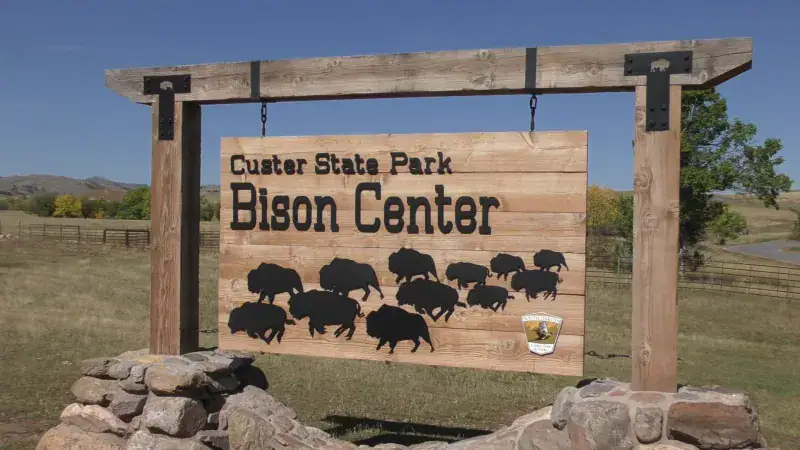 Custer State Park, South Dakota