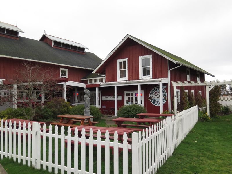 Fresh Apple Pies at Whidbey Pies Café