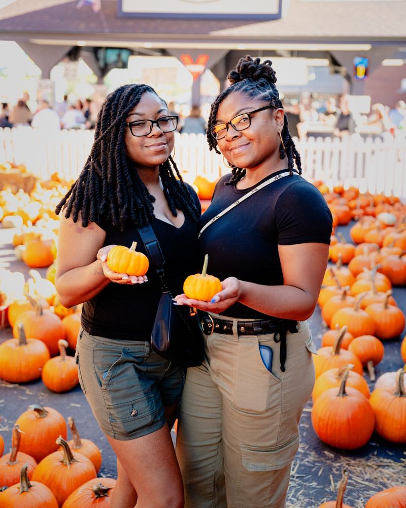 Harvest Fair — Wisconsin State Fair Park, West Allis (Sept 26–28, 2025)