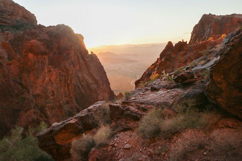 Palm Canyon (Kofa National Wildlife Refuge)