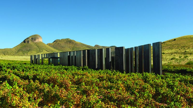 Location That Rivals Old World Wine Regions