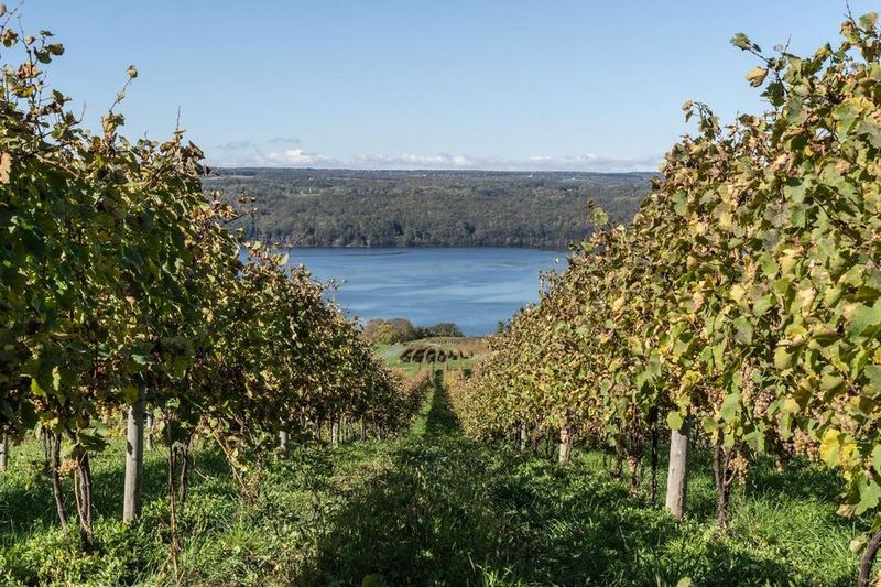 Scenic Tasting Trails