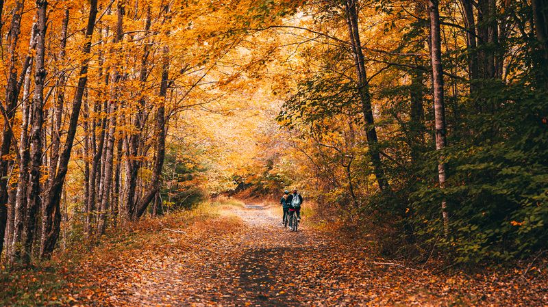 Virginia Creeper Trail – Virginia