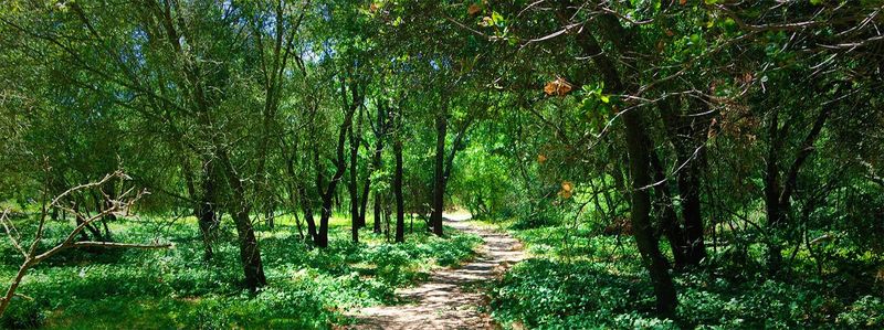 Miner’s Ravine Trail — Roseville, California