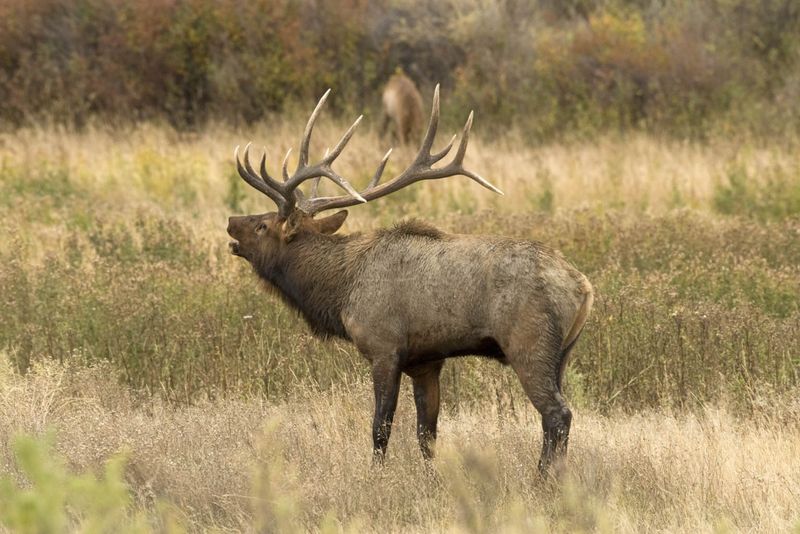 Charles M. Russell National Wildlife Refuge – Slippery Ann Area (Montana)