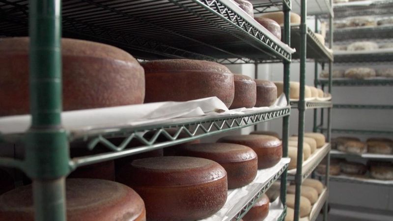 Cedar Grove Cheese (Plain)