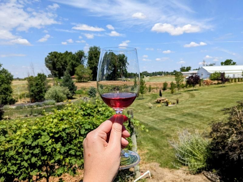 Budget-Friendly Tasting Fees