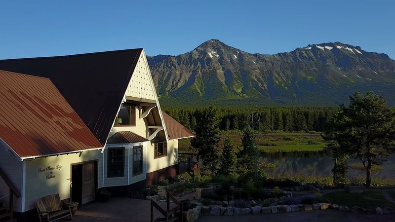 Wildlife Viewing From Your Porch