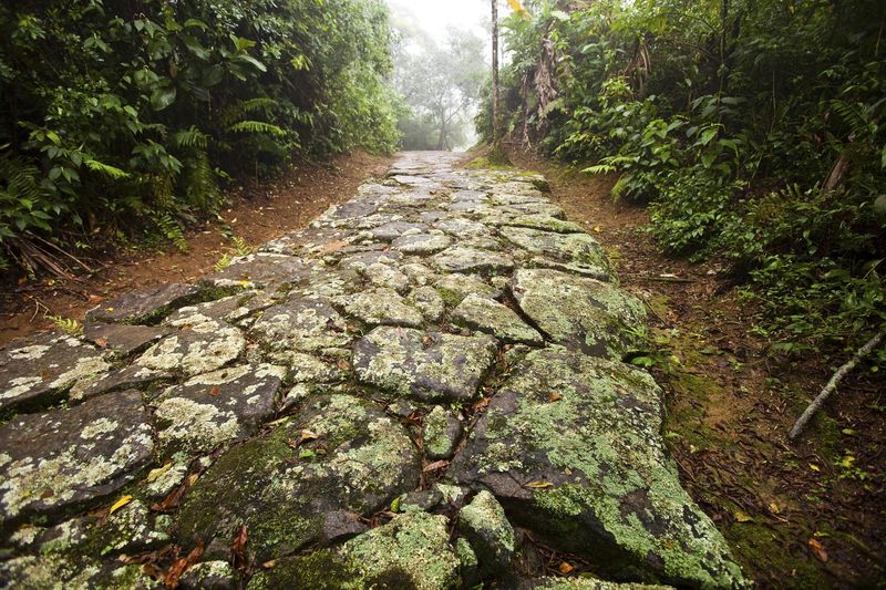 Gold Trail (Caminho do Ouro)