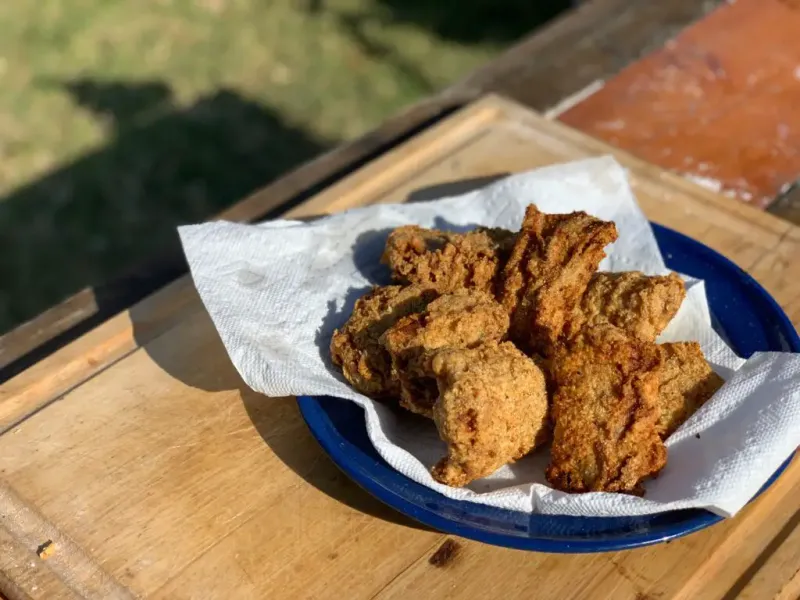 Fried Rattlesnake (Sweetwater)