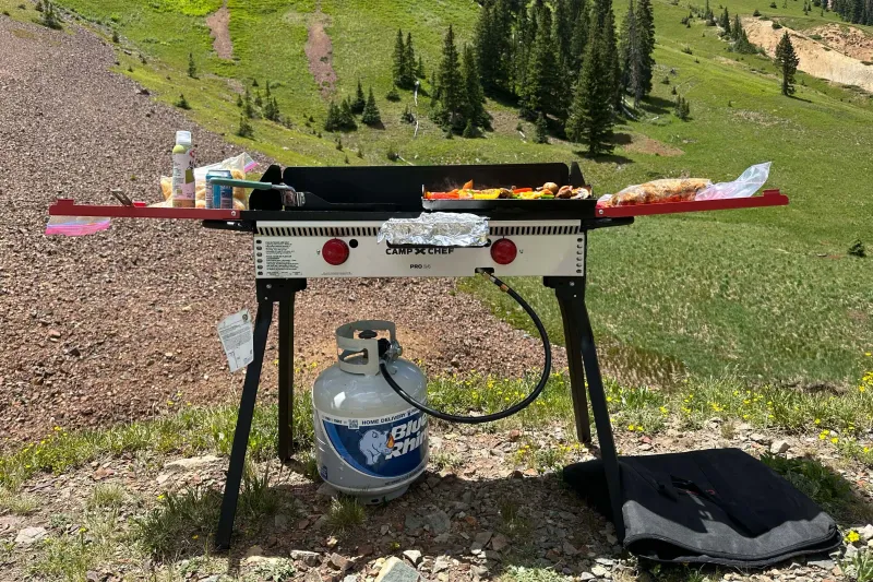 Camp Chef Pro 14