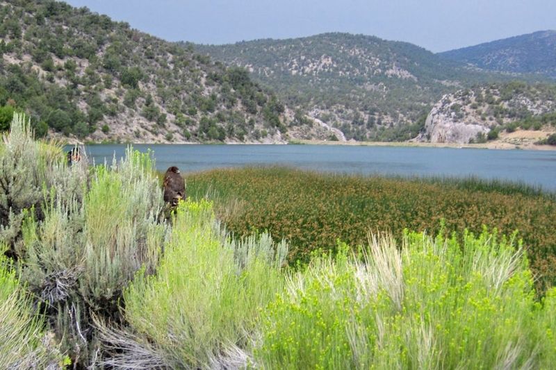 Explore Gateway to Great Basin Adventures