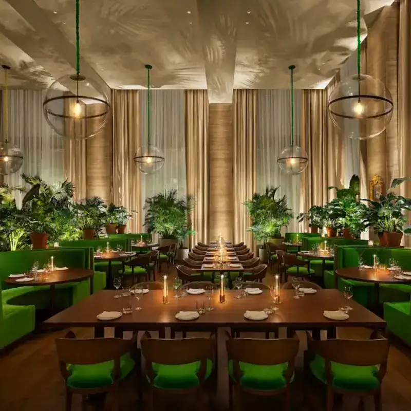 Koya – Tampa